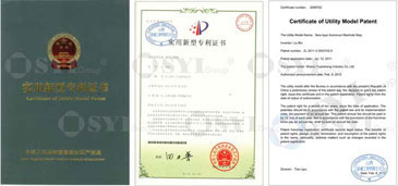 02-Letters-Patent_02